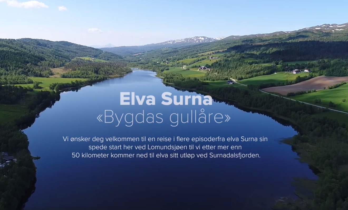Droneprosjektet_Surna_Bygdas_gullåre